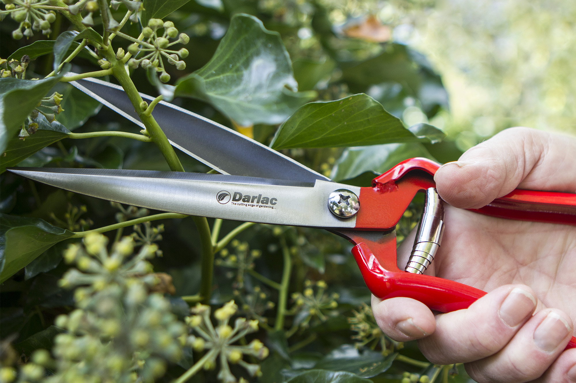 Darlac Perennial Shear DP855
