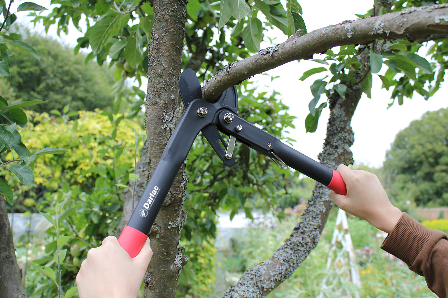 Darlac Handy Ratchet Lopper DP875