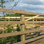 Fence Posts - Goodwood Range 2-4m x 150mm x 150mm
