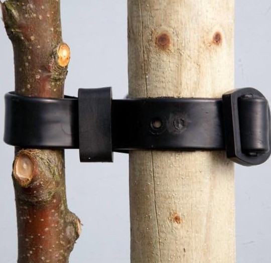 Tree Ties - 48cm